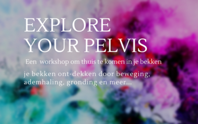 Workshop Explore Your Pelvis – Ontdek je bekken